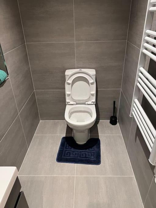 009- Studio Apartment In Ealing F5 מראה חיצוני תמונה